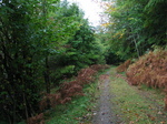 24030 Trail.jpg